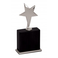 "New"  Silver Star Award with Black Base